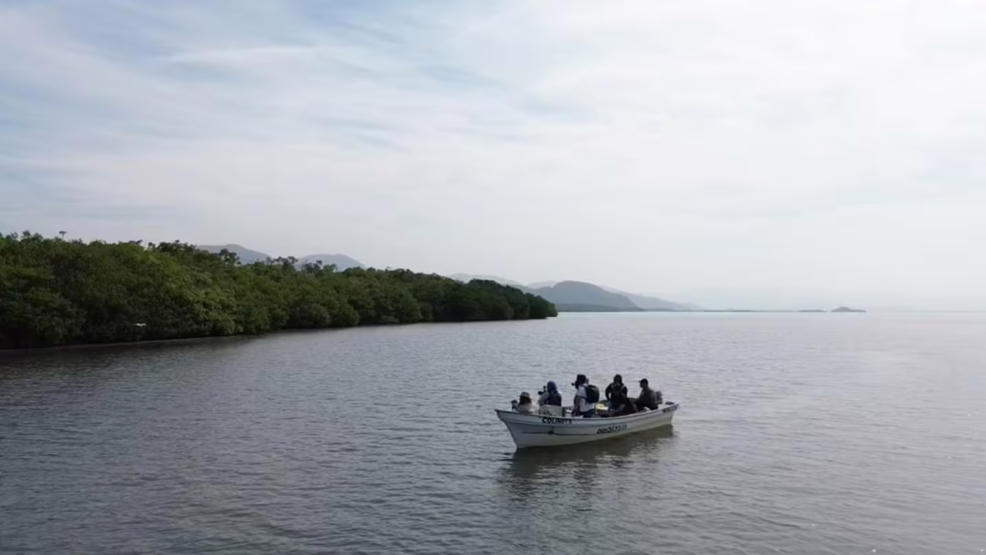 Vista aérea de la laguna de Cuyutlán